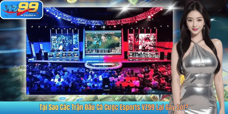 Tại Sao Các Trận Đấu Cá Cược Esports VZ99 Lại Gây Sốt?